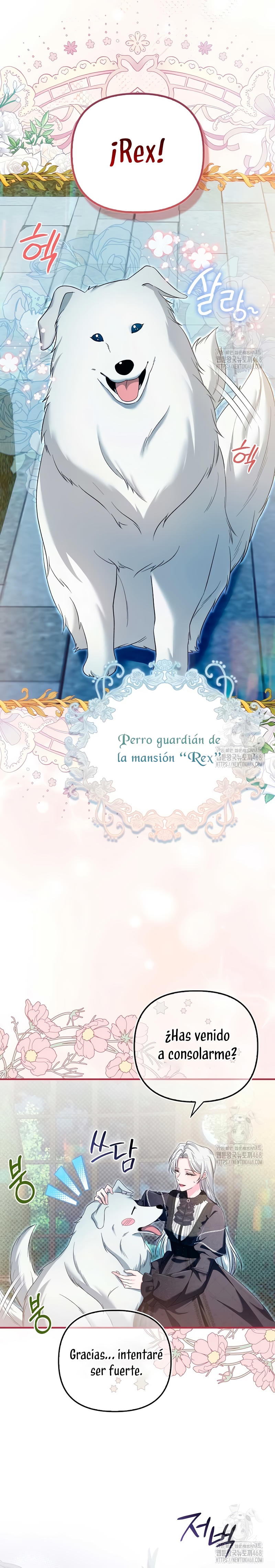 Como rechazar un matrimonio perfecto Capítulo 2 - Página 21