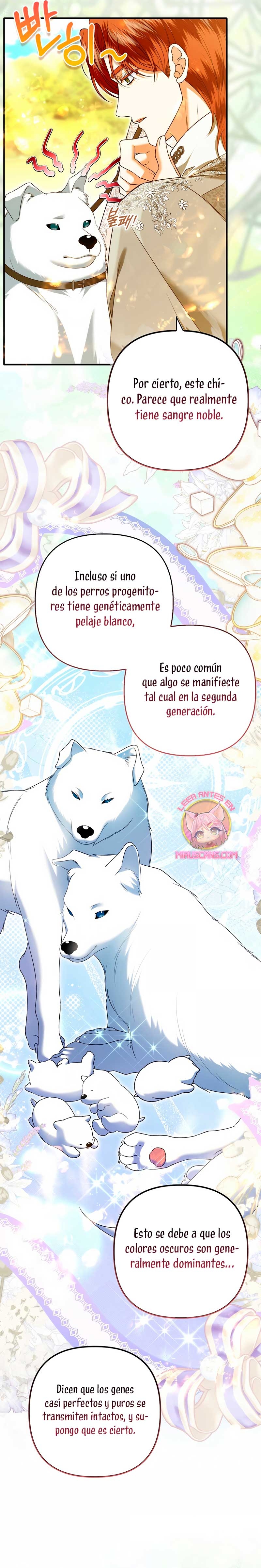 Como rechazar un matrimonio perfecto Capítulo 34 - Página 17